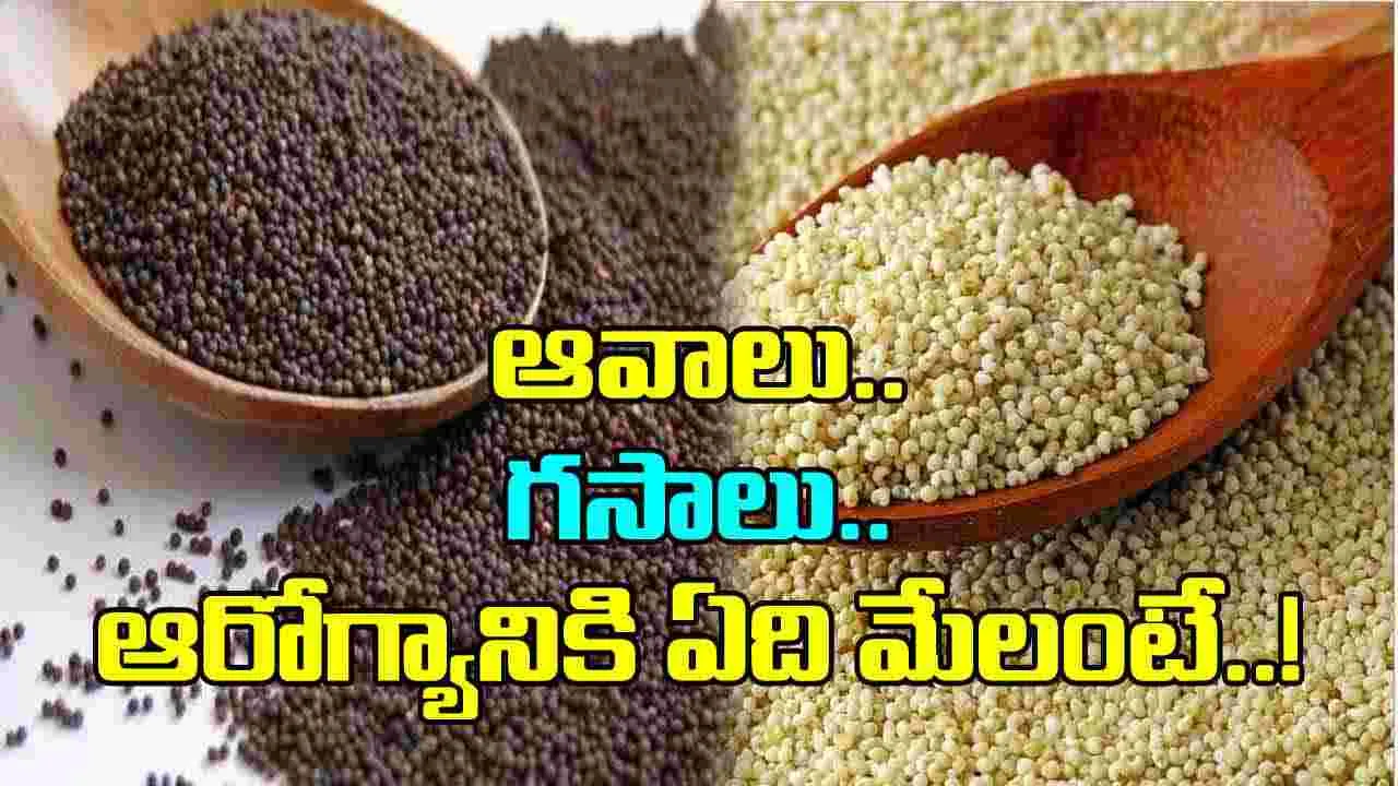 Mustard Seeds Vs Poppy Seeds:  ఆవాలు, గసాలు.. రెండింటిలో ఆరోగ్యానికి ఏది మంచిది?