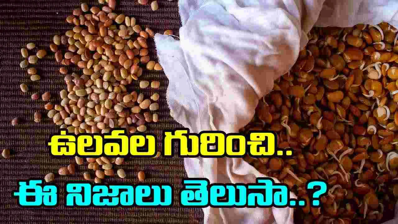 Horse Gram: ఉలవలు ఆహారంలో చేర్చుకుంటే జరిగేదేంటి? మీకు తెలియని షాకింగ్ నిజాలివి..!