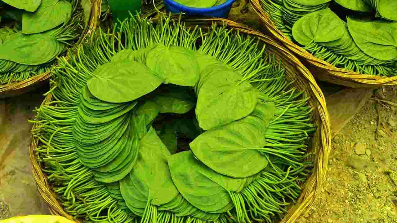 Betel Leaves: తమలపాకులు తింటే ఎన్ని ఆరోగ్య ప్రయోజనాలో తెలుసా..