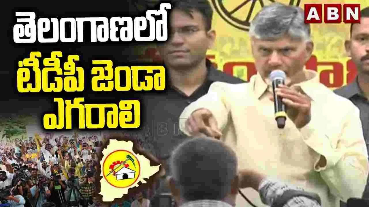 TTDP: తెలంగాణలో టీడీపీ జెండా ఎగరాలి: చంద్రబాబు