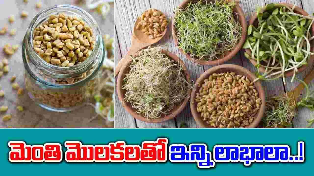 Health Benefits : మెంతి మొలకలు రోజూ తినడం వల్ల కలిగే హెల్త్ బెనిఫిట్స్ తెలుసా..!