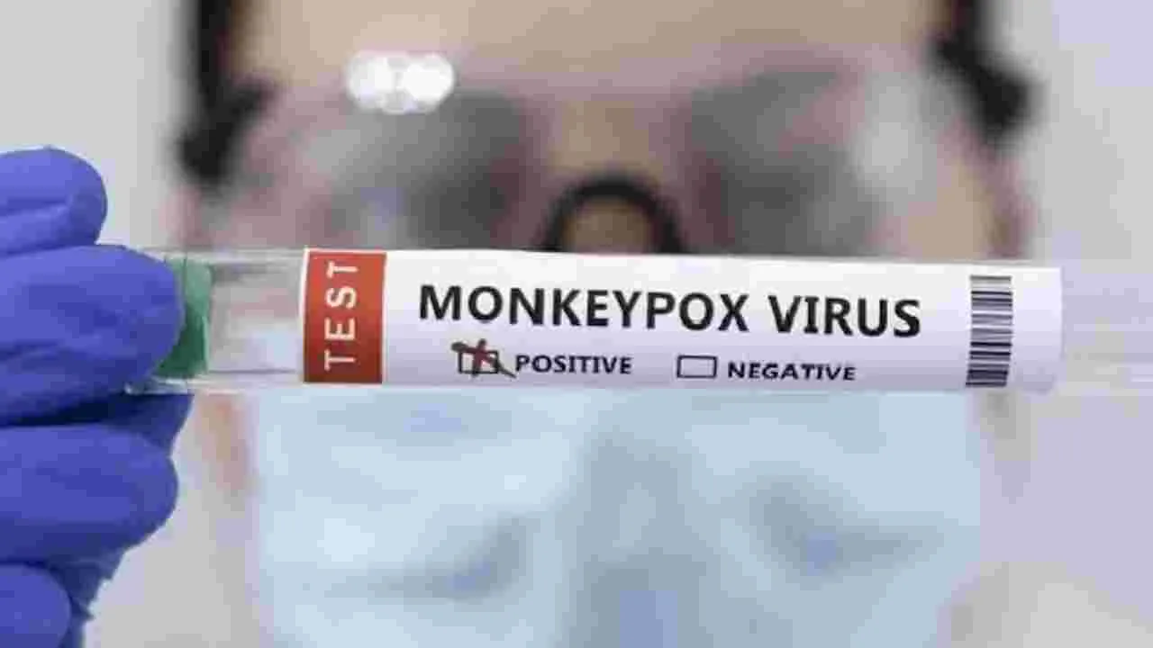  Mpox: దేశంలో ఫస్ట్ మంకీపాక్స్ అనుమానిత కేసు.. అప్రమత్తం చేసిన కేంద్రం