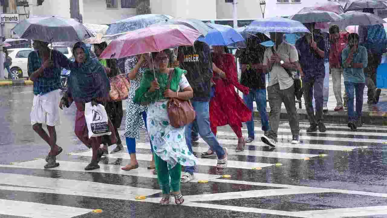 Rains: విస్తారంగా వర్షాలు.. నీలగిరి జిల్లాను వీడని వాన