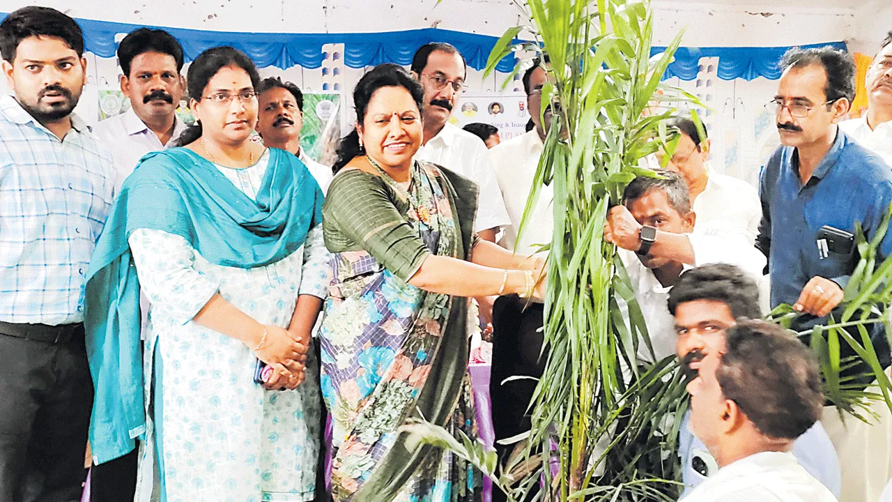 ఆయిల్‌పామ్‌ పంటల సాగును విస్తరించాలి