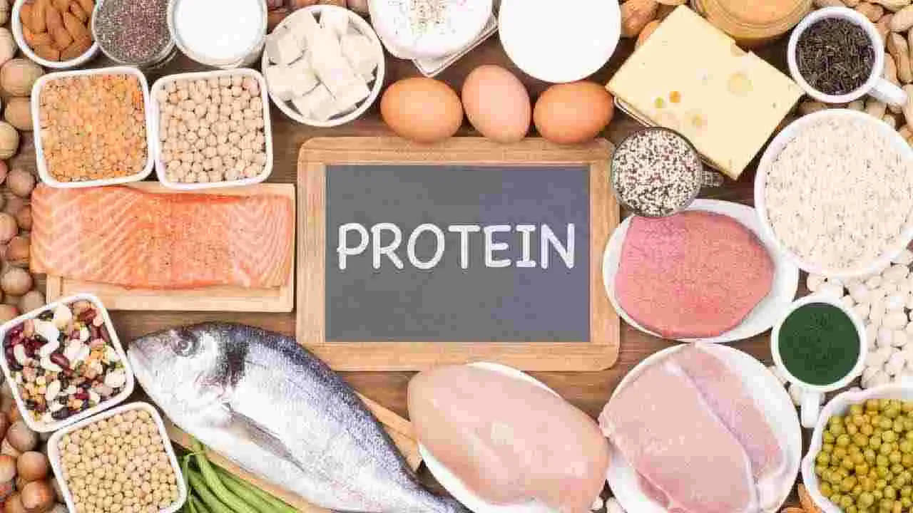 High Protein:  ప్రోటీన్ శరీరానికి అవసరమే.. కానీ దీన్ని ఎక్కువ తీసుకుంటే ఏమవుతుందో తెలుసా..?