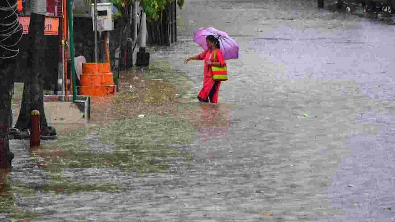 IMD: నేడు 14 రాష్ట్రాలకు రెయిన్ అలర్ట్.. ఐఎండీ హెచ్చరిక