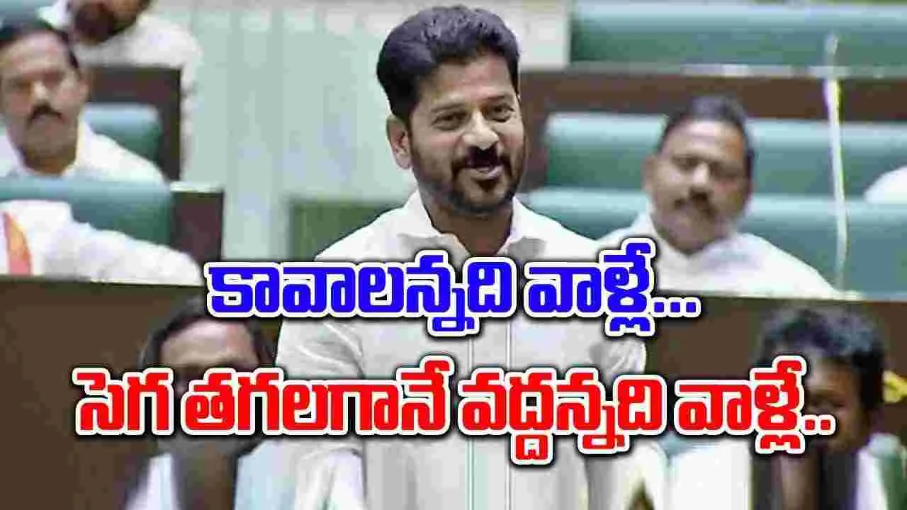 CM Revanth Reddy: విద్యుత్ ఒప్పందాలపై సీఎం రేవంత్ రెడ్డి ఏమన్నారంటే..