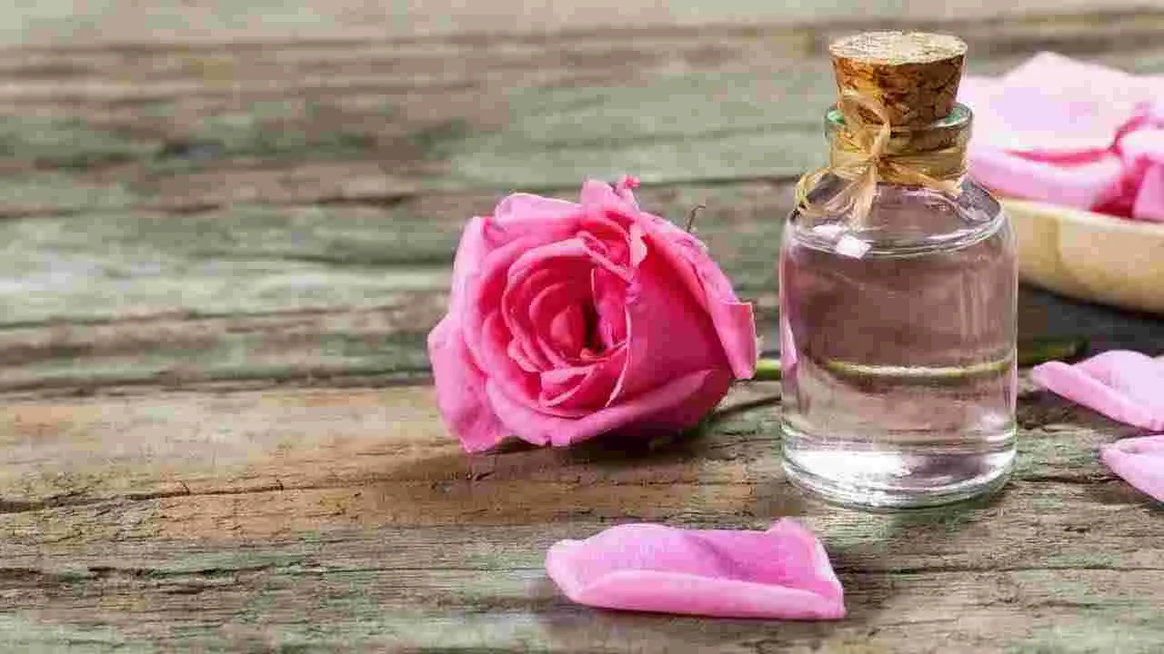 Rose Water: రోజ్ వాటర్ ను ఇలా వాడి చూడండి.. డబుల్ బెనిఫిట్స్ పక్కా..!