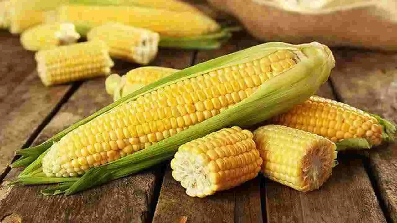 Sweetcorn: స్వీట్ కార్న్ అంటే ఇష్టమా? ఈ నిజాలు తెలుసా?