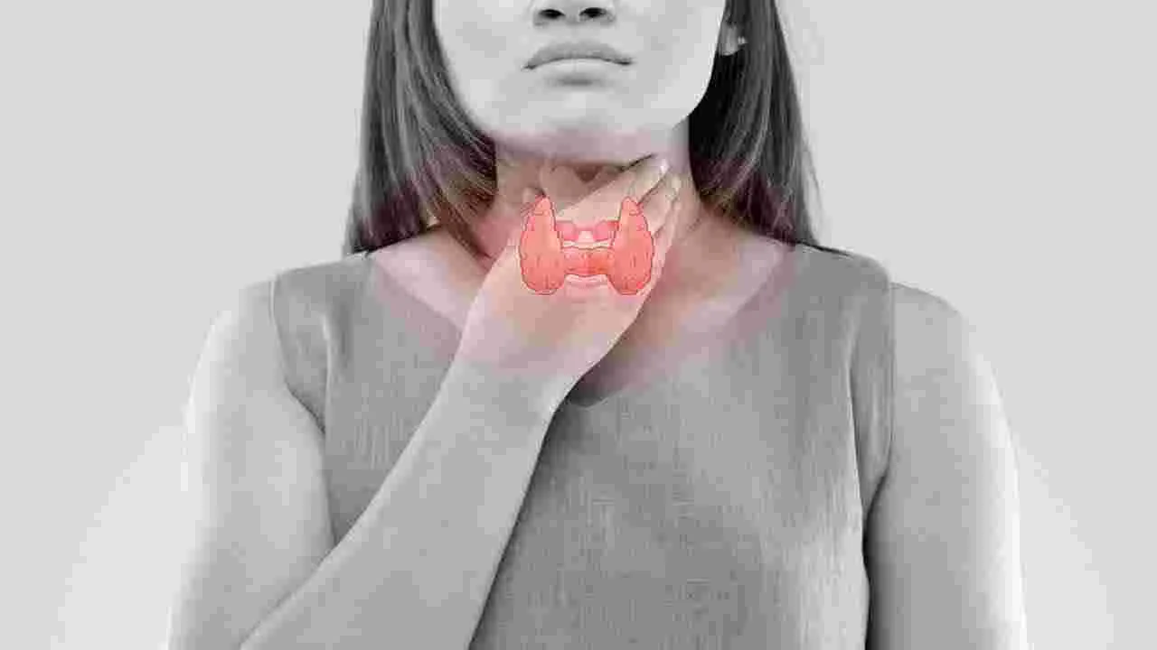 Thyroid: థైరాయిడ్ సమస్యతో బాధపడుతున్నారా? ఆయుర్వేదం చెప్పిన ఈ మూలికలు వాడి చూడండి..!