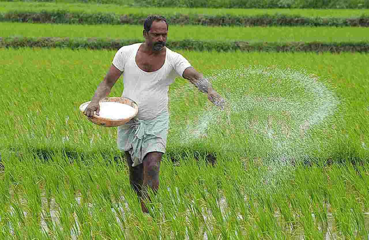 పేరుందా...లేదా