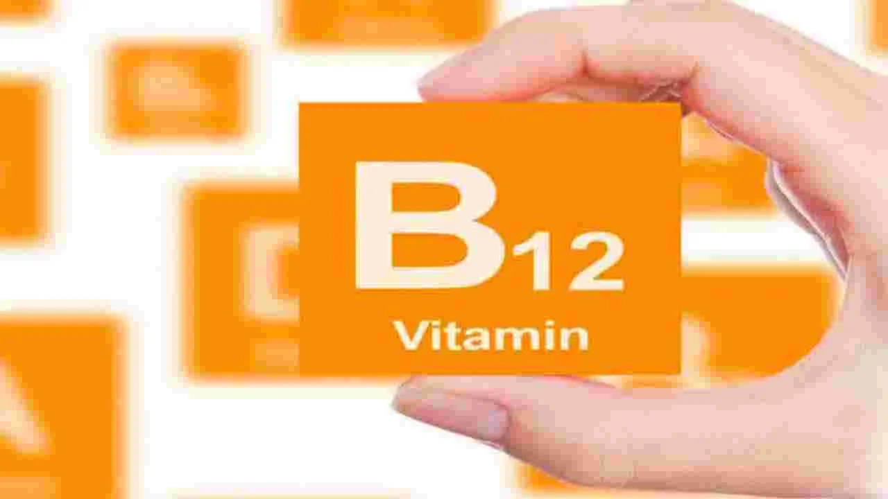 Vitamin B12:  మీరు శాకాహారులా? విటమిన్-బి12 కోసం ఇవి తినండి చాలు..!