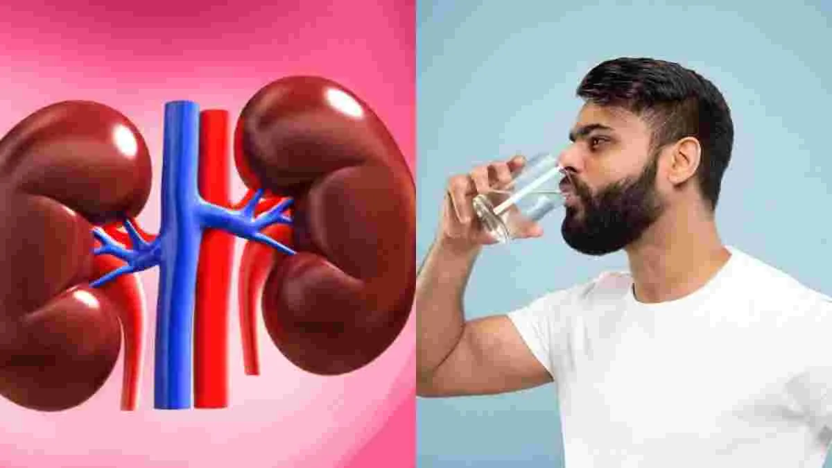 Kidney Health: నిత్యం ఇలా చేయకపోయారో.. కిడ్నీల ఆరోగ్యం దెబ్బతిన్నట్టే