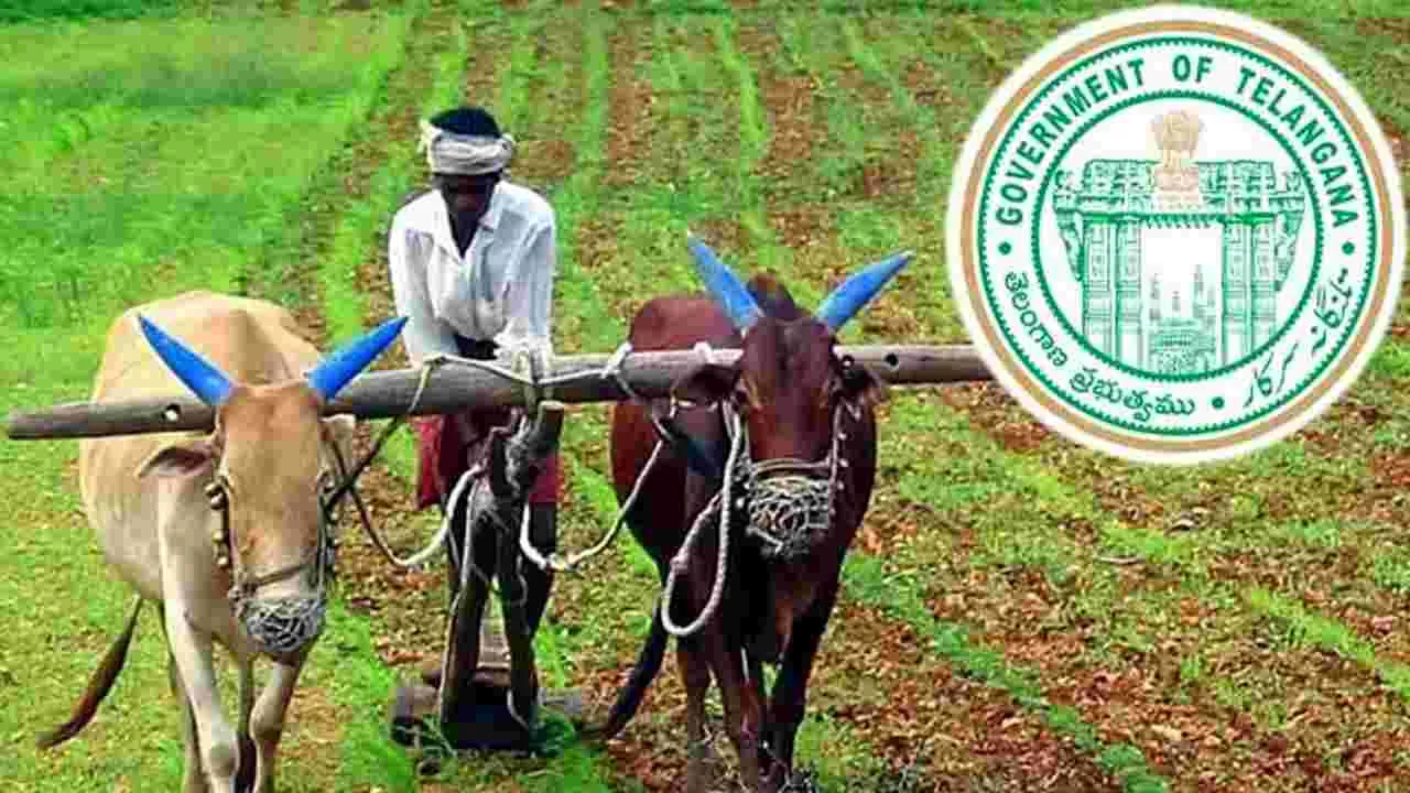 Crop Insurance: త్వరలో పంటల బీమా!