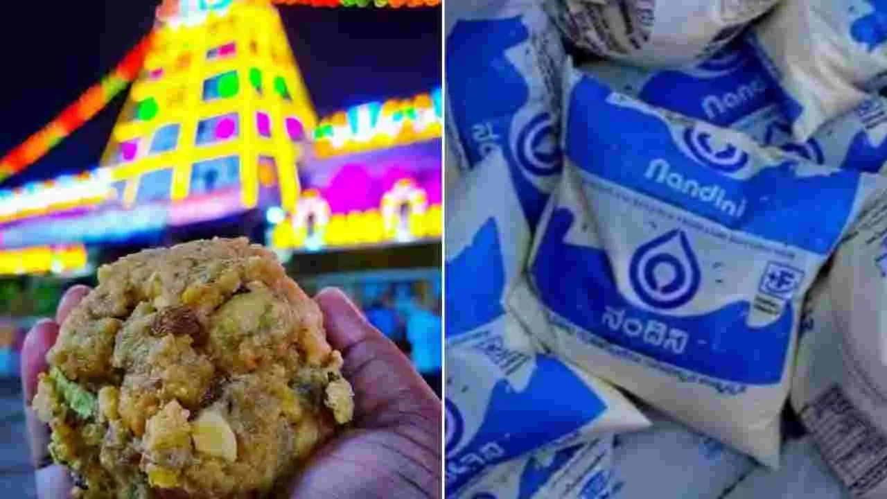 Tirumala Laddu: తిరుమల లడ్డూ వివాదం..  అందరిచూపు ఆ కంపెనీపైనే