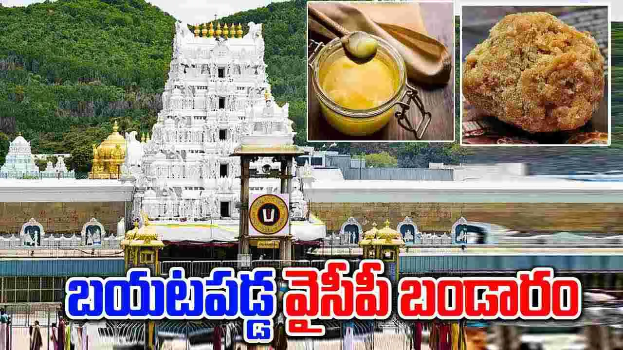 Tirumala Laddu: ఆ నెయ్యిలో జంతువుల కొవ్వు ఉంది.. వైసీపీ బండారం బట్టబయలు