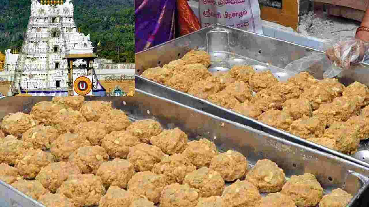 Tirumala Laddu Issue: అడ్డంగా దొరికేసిన AR డెయిరీ.. కల్తీకి ఆధారాలు ఇవేనా..