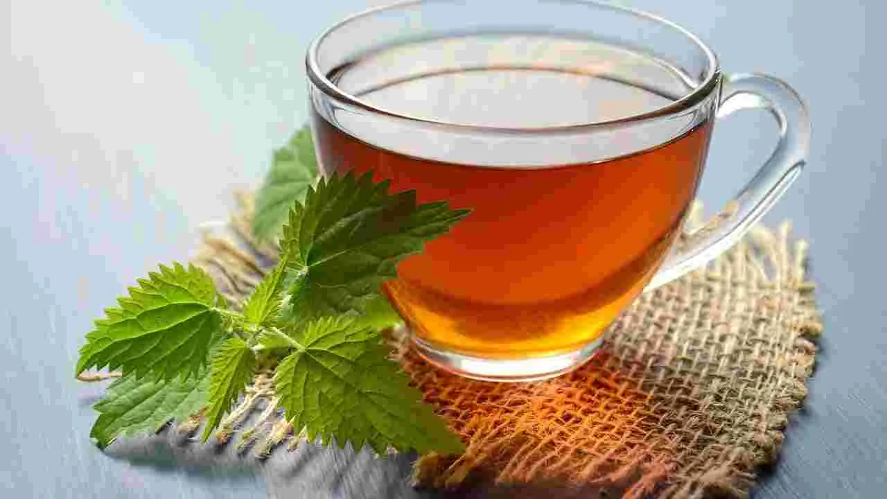 Green Tea: మీకు ఈ సమస్యలు ఉన్నాయా.. అయితే గ్రీన్ టీ అస్సలు తాగొద్దు..