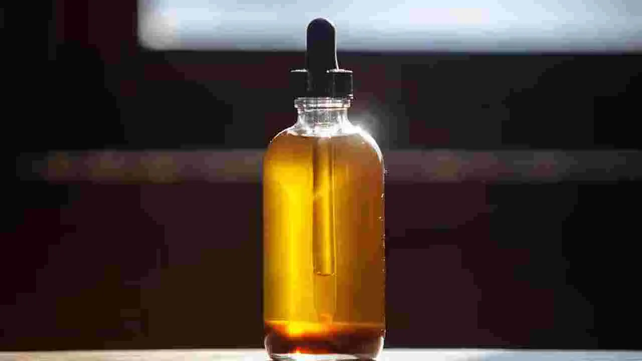 Hashish Oil: డ్రగ్స్ కంటే ప్రమాదకారి.. ఎలా తయారు చేస్తారంటే..