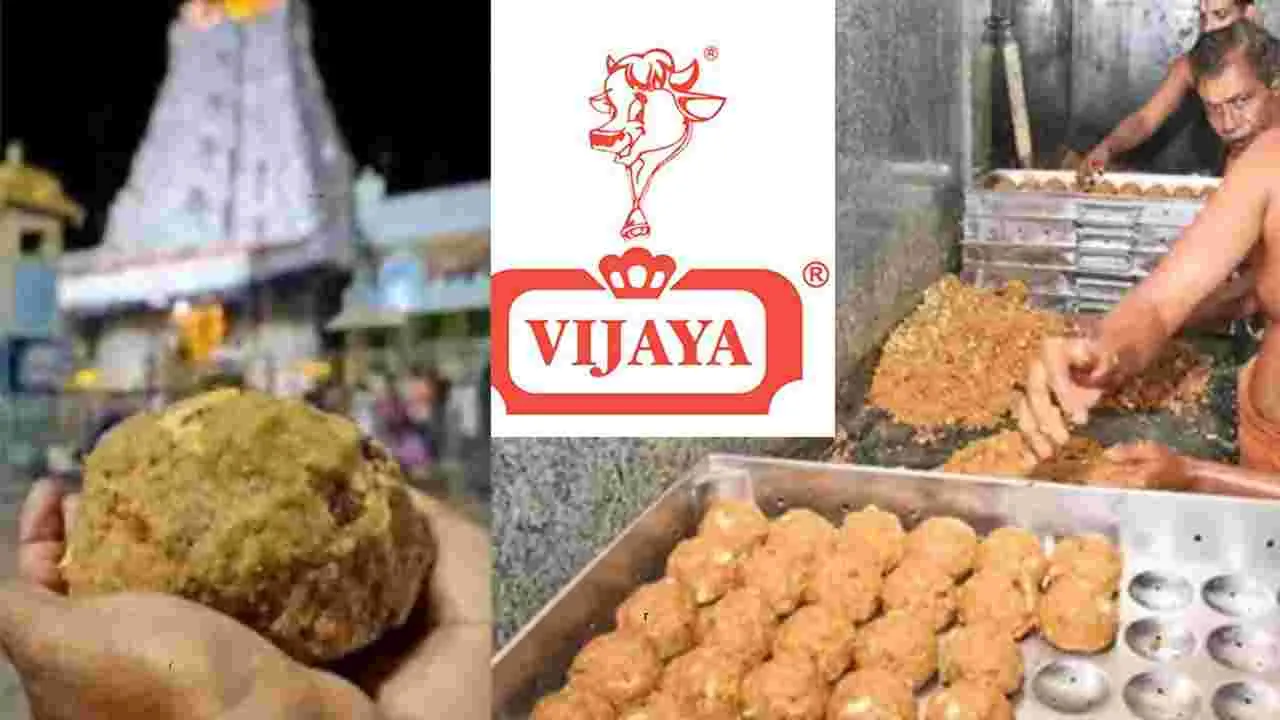 Vijaya Dairy : టీటీడీకి పాల ఉత్పత్తులు అందించేందుకు  రెడీ: సబ్యసాచి ఘోష్