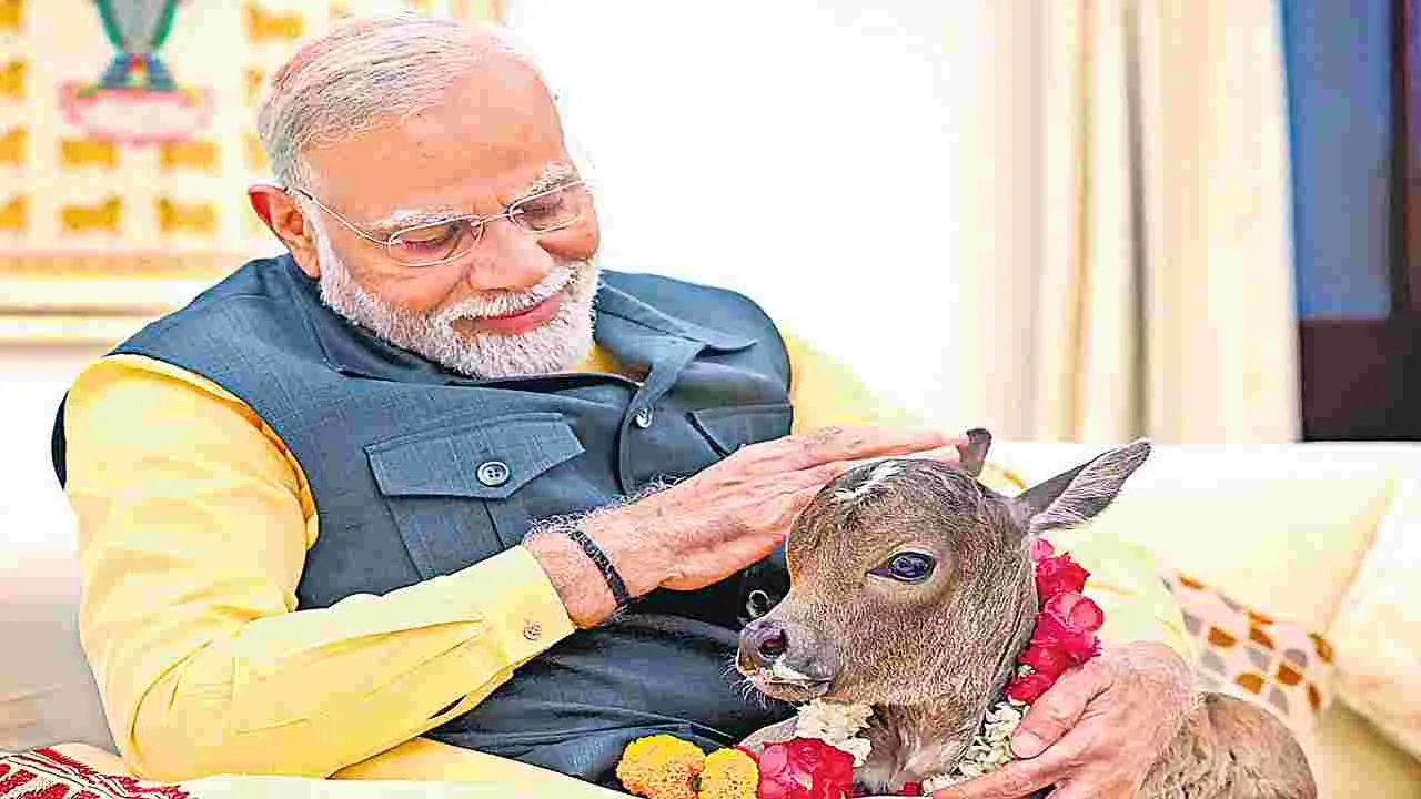 PM Modi : అంతిమ ఘడియల్లో కశ్మీర్‌ ఉగ్రవాదం