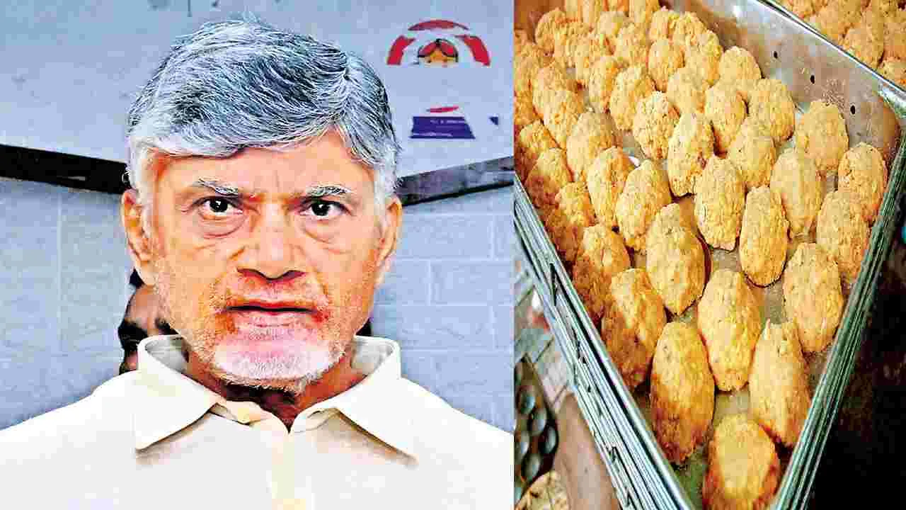 చంద్రబాబు : బాధ్యులపై కఠిన చర్యలు 