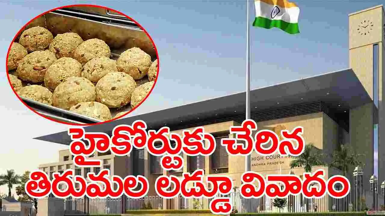 Tirumala Laddu: ఏపీ హైకోర్టుకు చేరిన తిరుమల శ్రీవారి లడ్డూ ప్రసాదం వివాదం..