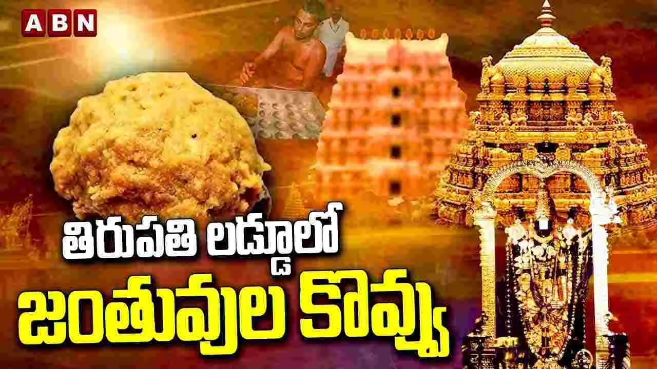 తిరుపతి లడ్డూలో జంతువుల కొవ్వు..