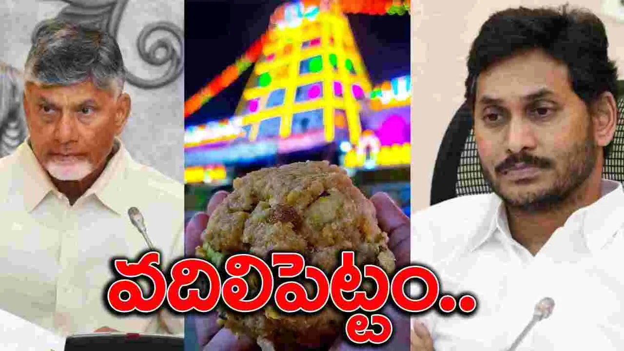 Tirupati Laddu: లడ్డు అపవిత్రం చేసిన వారిని వదలిపెట్టం.. సీఎం చంద్రబాబు సూటి హెచ్చరిక