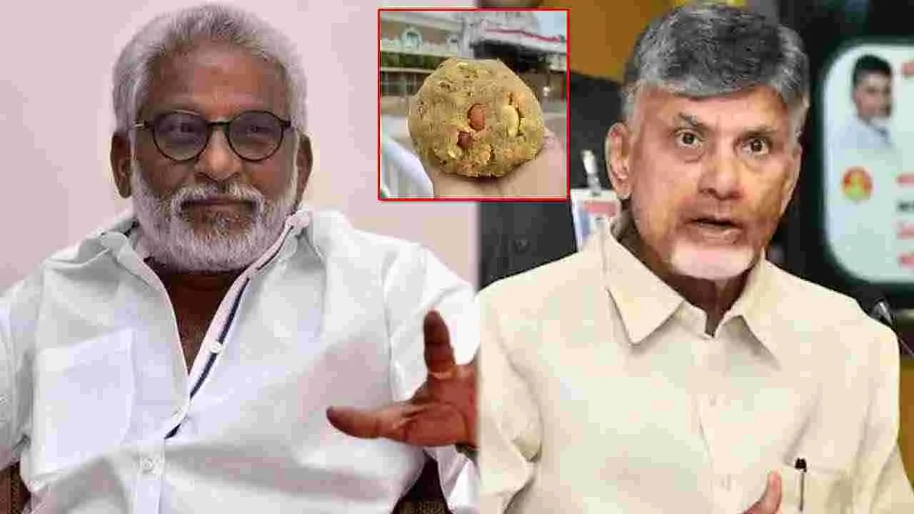 YV Subbareddy: టీటీడీ లడ్డుపై ఇలాంటి వ్యాఖ్యలు చేస్తారా...వైవీ ఫైర్