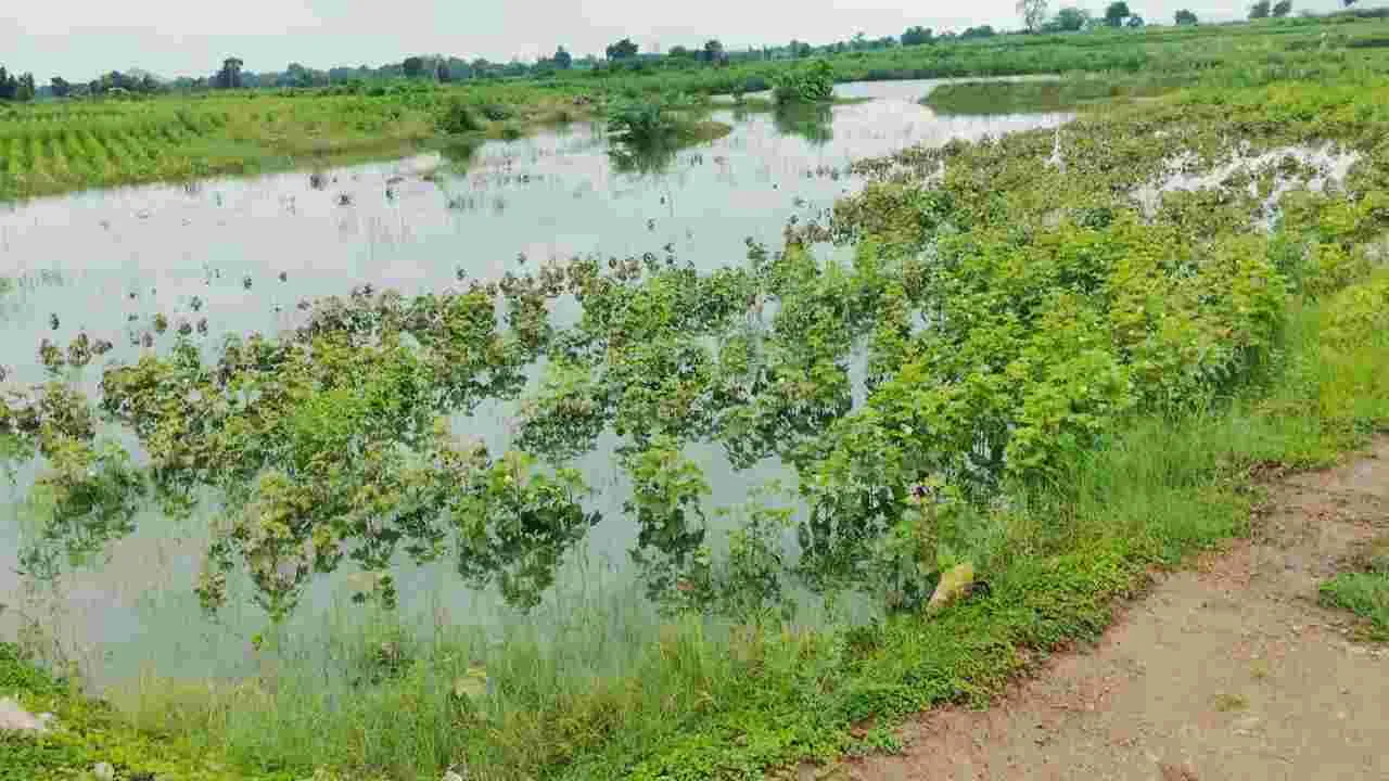 పరిహారం కోసం   ఎదురుచూపులు