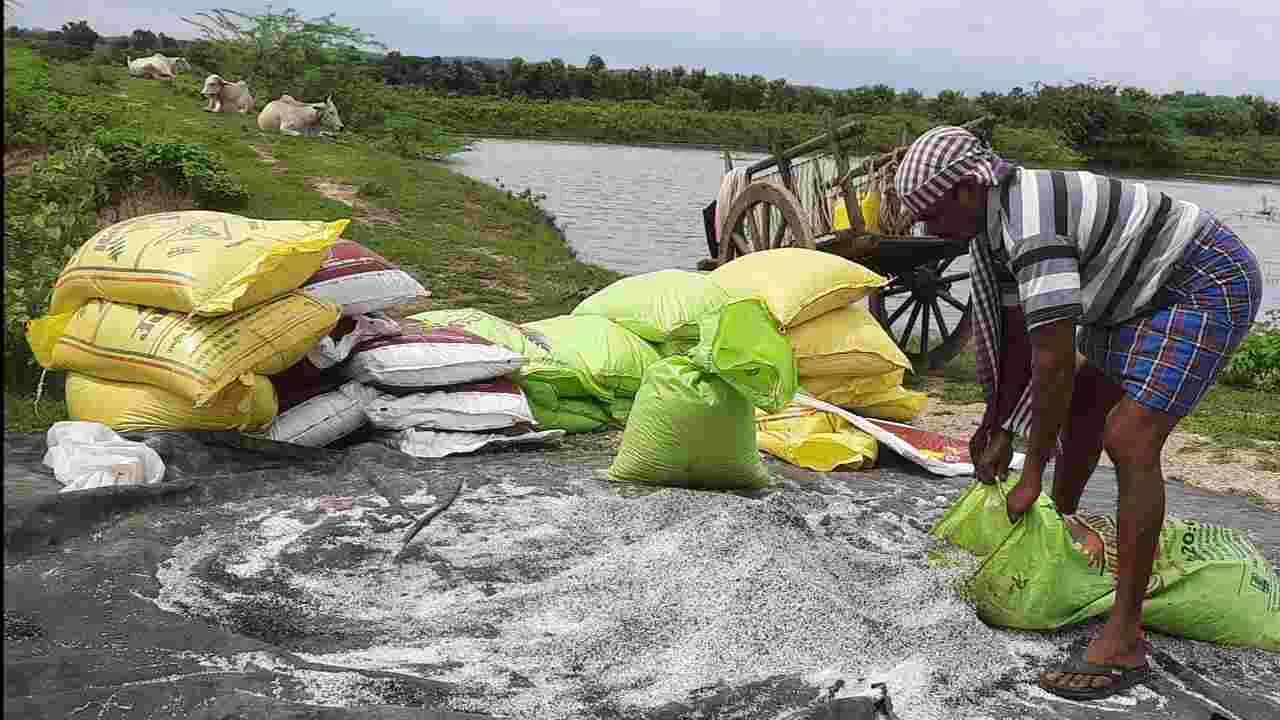  అధిక రసాయనాల వినియోగంతో అనర్థం 