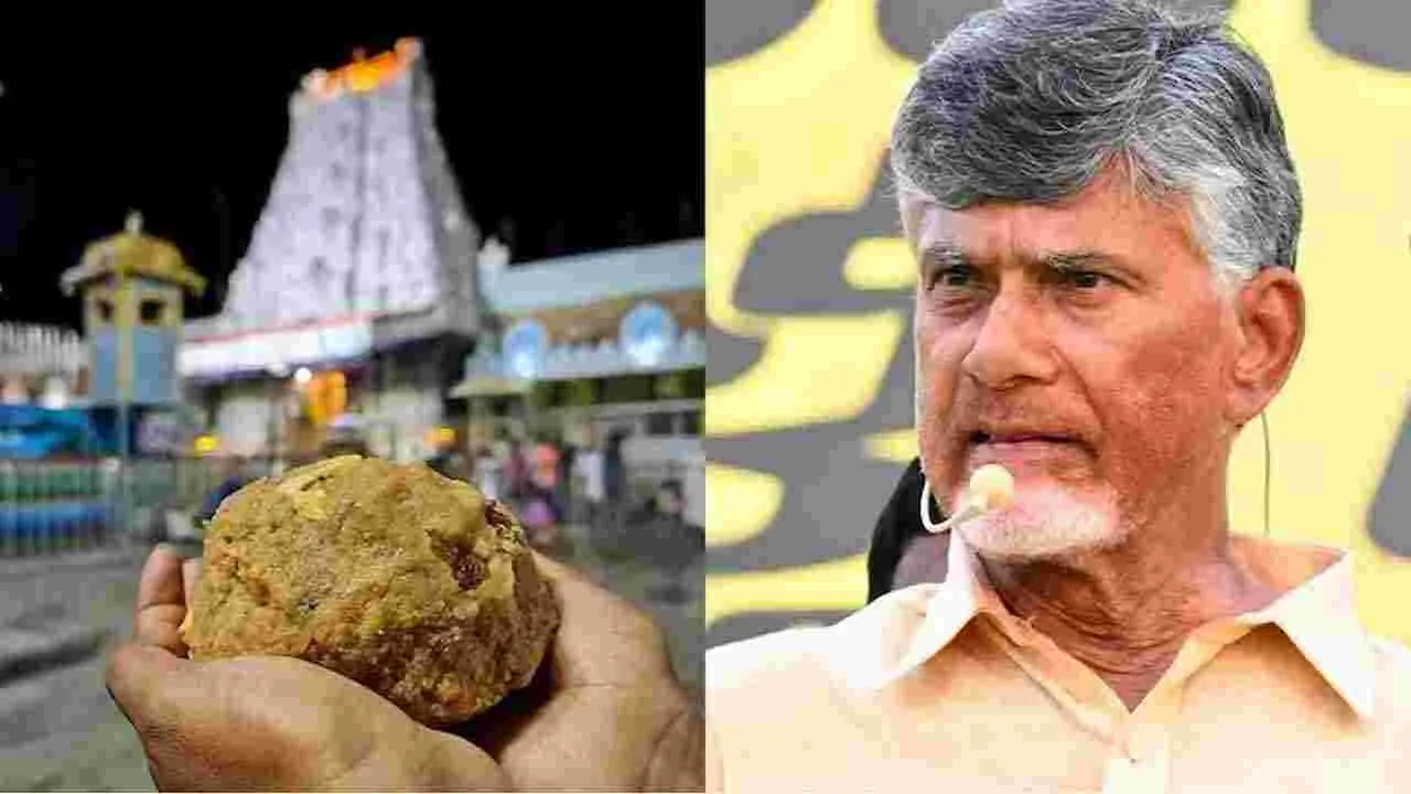 AP GOVT: తిరుమల లడ్డూ వివాదం.. సిట్ నియామకం