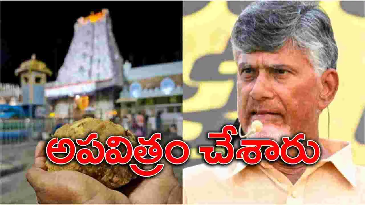 CM Chandrababu: ఆనాడు వైఎస్.. తర్వాత జగన్.. సీఎం చంద్రబాబు నిప్పులు