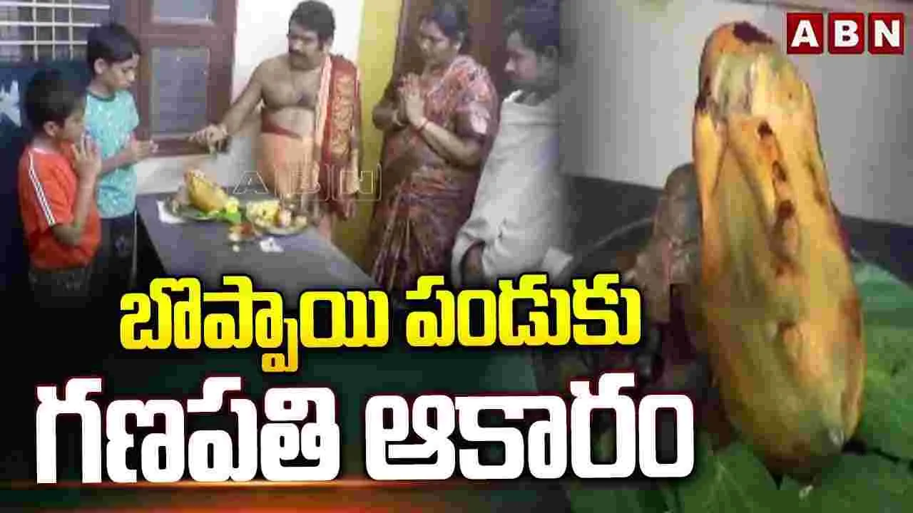 గణపతి ఆకారంలో బొప్పాయి పండు..