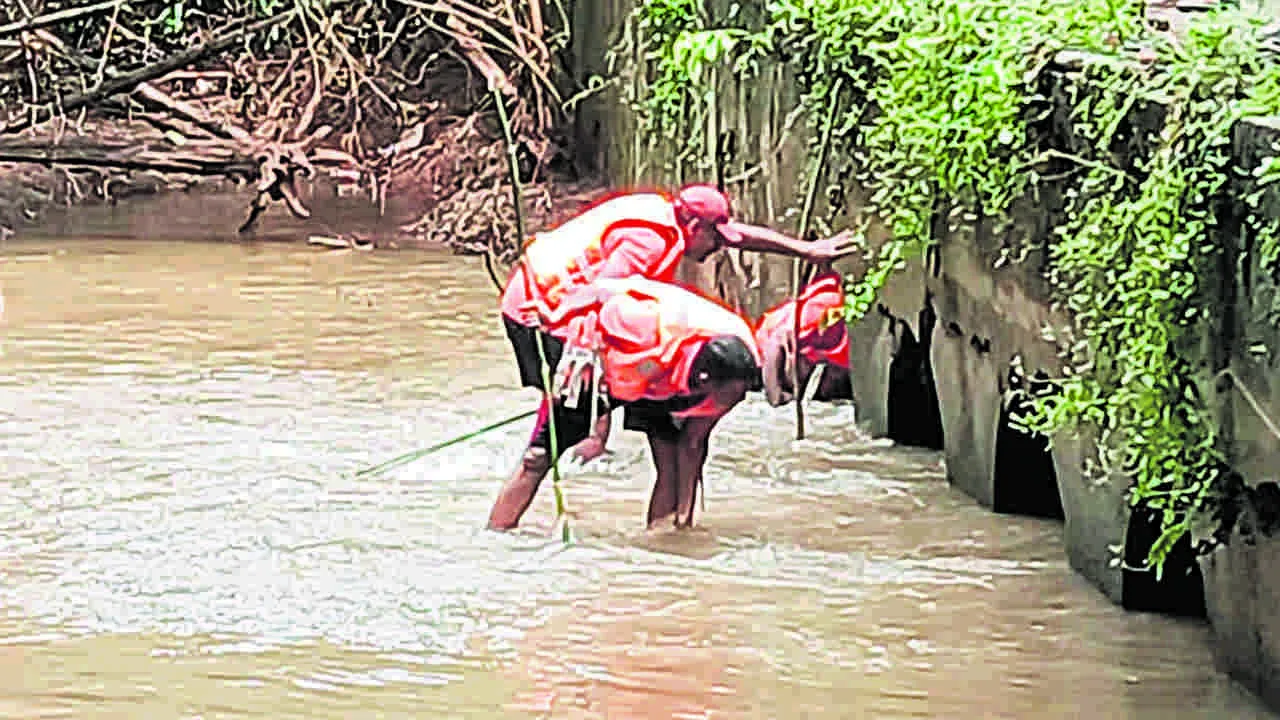 మెడికోలను చిదిమేసిన జలఖడ్గం