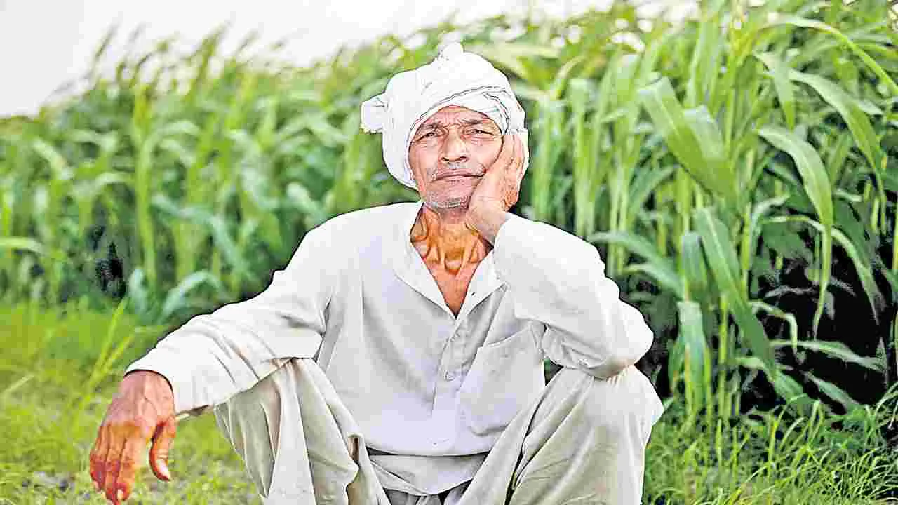 Farmers: రుణమాఫీ కోసం రైతుల ఎదురుచూపులు..