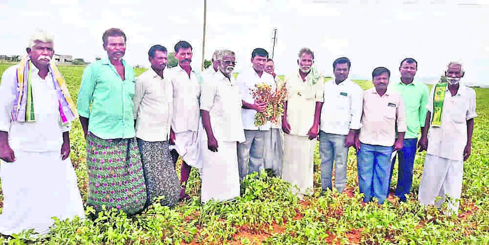 cpm ప్రభుత్వం రైతులను ఆదుకోవాలి