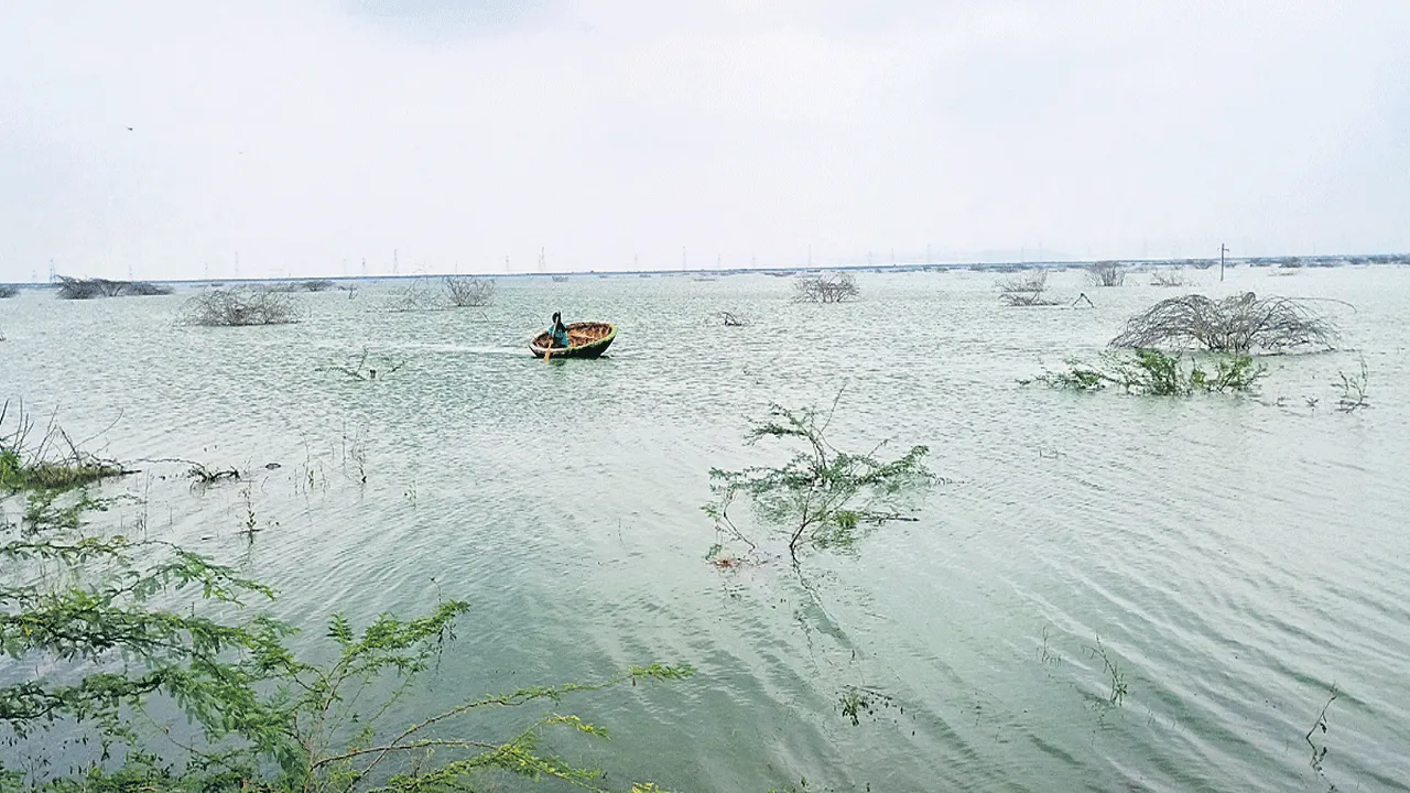 Poaching of fish in Wamikonda వామికొండ జలాశయంలో చేపల అక్రమవేట