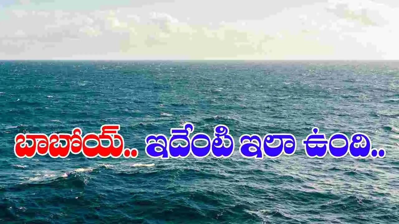 Viral News: బాబోయ్.. సముద్రంలో వింత జీవి.. మునుపెన్నడూ ఇలాంటిది చూడలేదు..