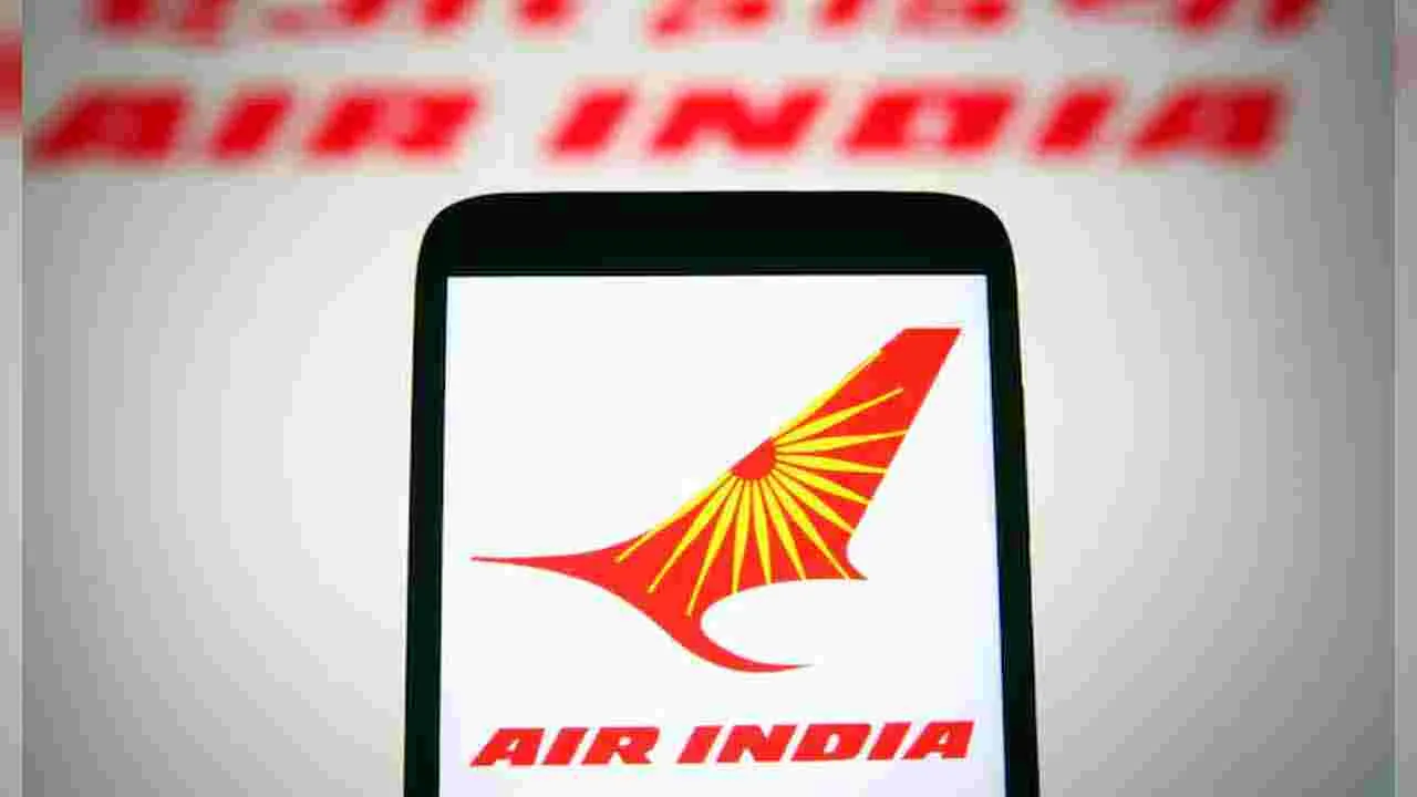 Air India: ఆమ్లెట్‌లో బొద్దింక.. ఎయిర్ ఇండియా ప్రయాణికురాలికి చేదు అనుభవం