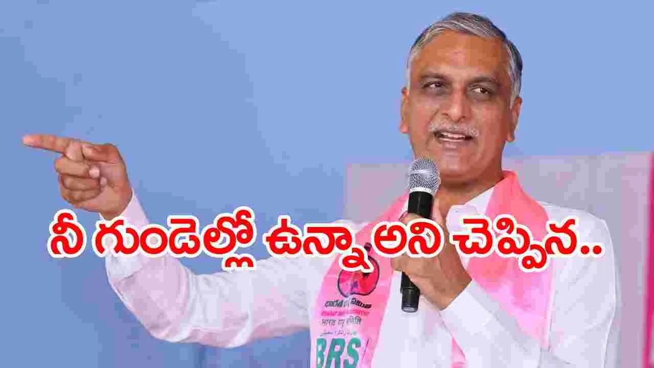 Harishrao: సీఎం రేవంత్ రెడ్డిని నిద్రపోనీయను: మాజీ మంత్రి హరీష్ రావు