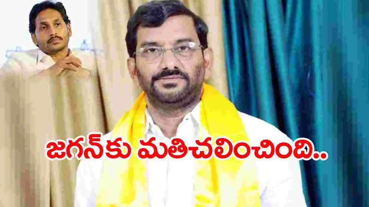 Somireddy: జగన్‌పై సోమిరెడ్డి సంచలన వ్యాఖ్యలు..