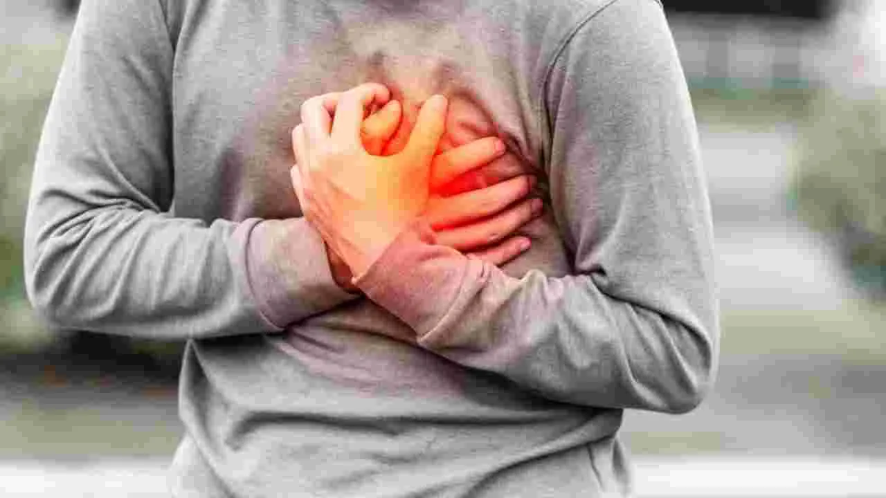 Heart Attack in Men: మహిళల కంటే పురుషులకే హార్ట్ ఎటాక్ రిస్క్ ఎక్కువ! ఎందుకంటే..