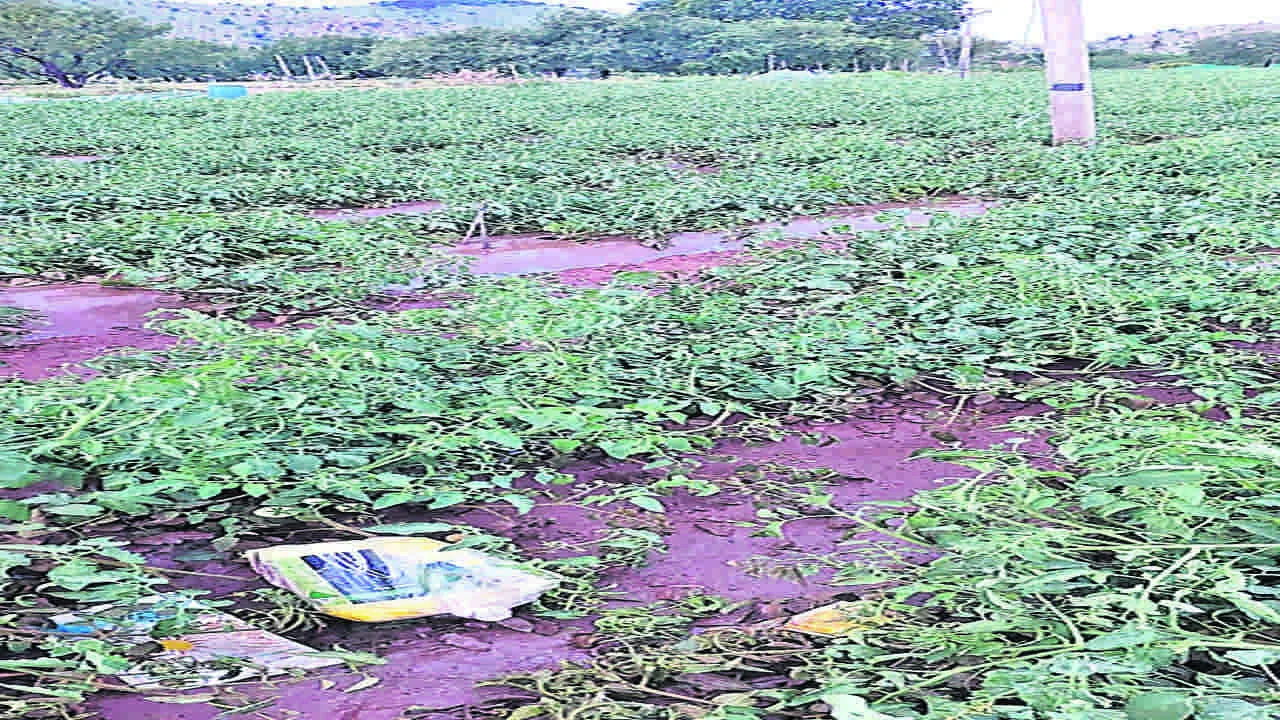 RAIN : గాలి, వడగండ్ల వాన బీభత్సం