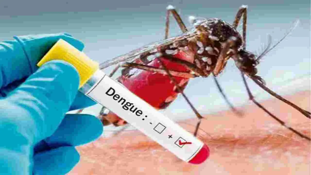 Dengue: నగరంలో విజృంభిస్తున్న ‘డెంగ్యూ’..