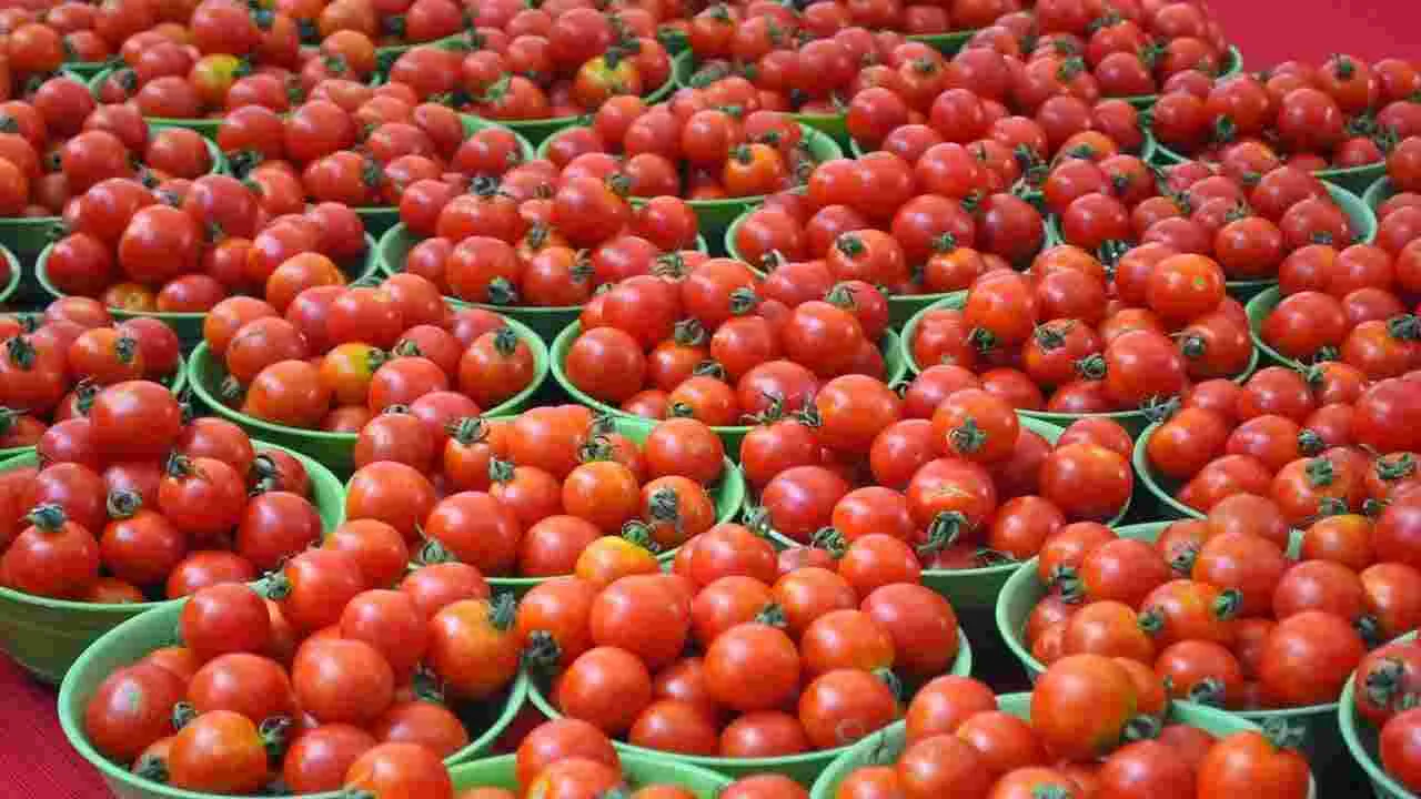 Tomato Price: కొండెక్కిన టమాటా ధర.. కిలో ఎంత పలుకుతోందంటే..