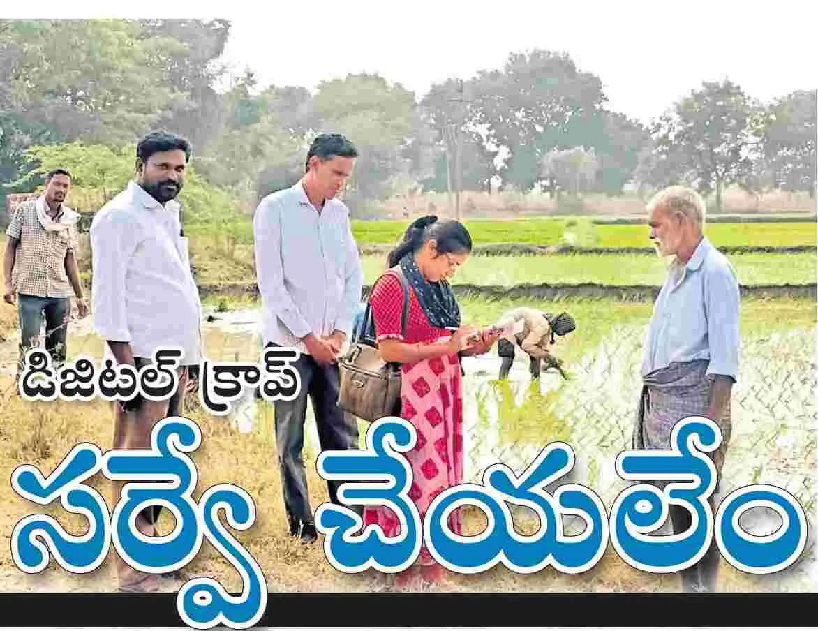 డిజిటల్‌ క్రాప్‌ సర్వే చేయలేం