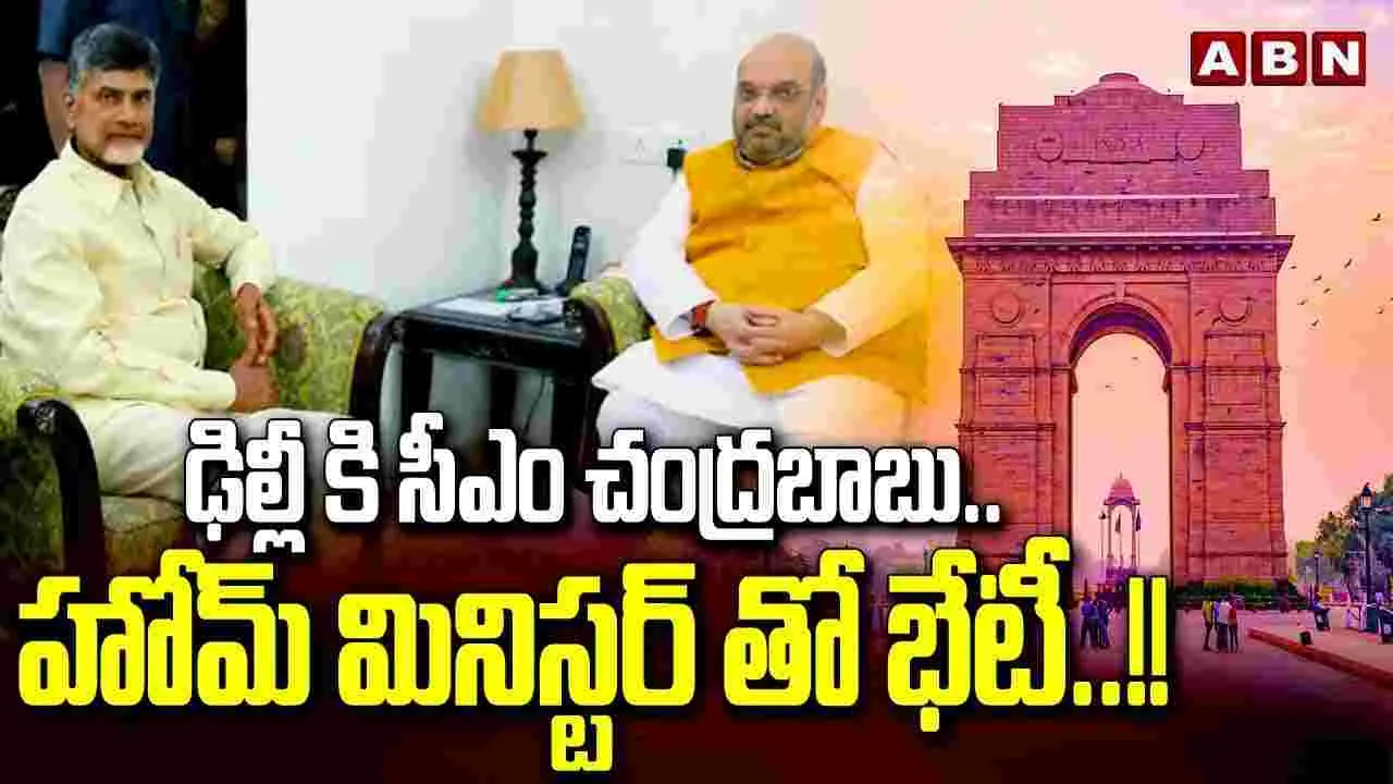 ఢిల్లీకి సీఎం చంద్రబాబు.. అమిత్ షాతో భేటీ..