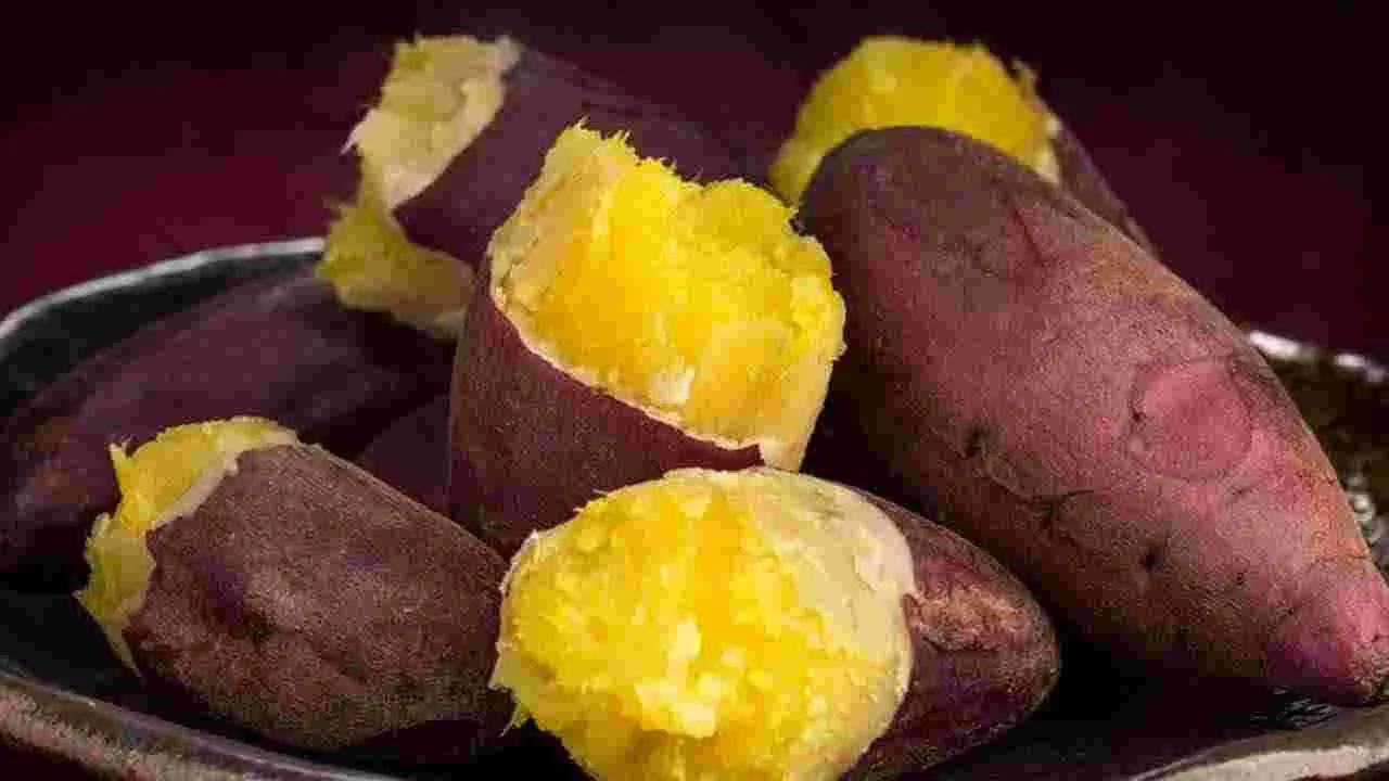 Sweet Potatoes:  చిలకడదుంప అంటే మీకు ఇష్టమా? దీన్ని తింటే యవ్వనంగా ఉండొచ్చా?